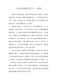 山东高考满分作文――窗外.docx