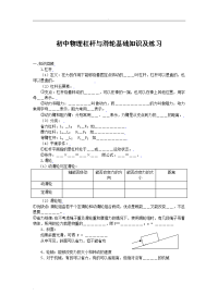 初中物理杠杆与滑轮基础知识及练习