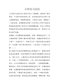 小班实习总结