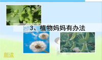 小学课件植物妈妈有办法