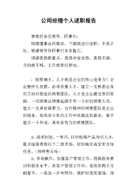 公司经理个人的述职报告