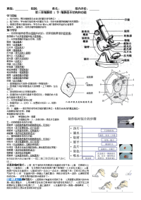 北师大版七年级生物上册第三章细胞导学案