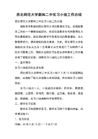 西北师范大学新和二中实习小组工作总结