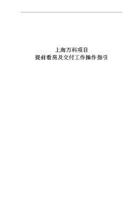 上海vk地产项目提前看房及交付工作操作指引（doc9页）