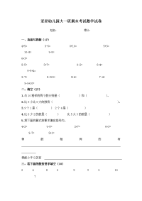 亚星幼儿园大班数学试卷