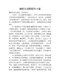 副校长述职报告3篇.doc