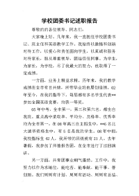 学校团委书记的述职报告