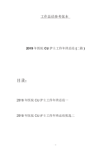 2019年医院CU护士工作年终总结(二篇).docx