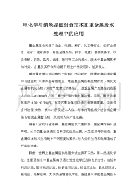 电化学与纳米晶磁组合技术在重金属废水处理中的应用