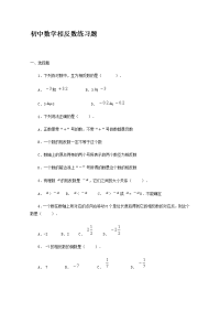 初中数学相反数练习题