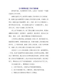 公司销售总监工作计划表格