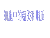 高中生物课件细胞中的糖类和脂质课件