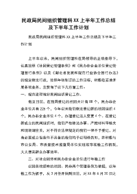 民政局民间组织管理科xx上半年工作总结及下半年工作计划