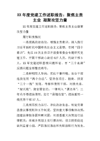 某年度党建工作述职报告：聚焦主责主业 凝聚攻坚力量