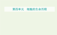 2021届高考生物一轮复习第四单元细胞的生命历程第一讲细胞的增殖课件新人教版