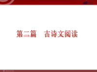 最新中考专题古诗文阅读ppt课件