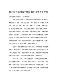 保护绿色家园的手抄报-保护文物的手抄报